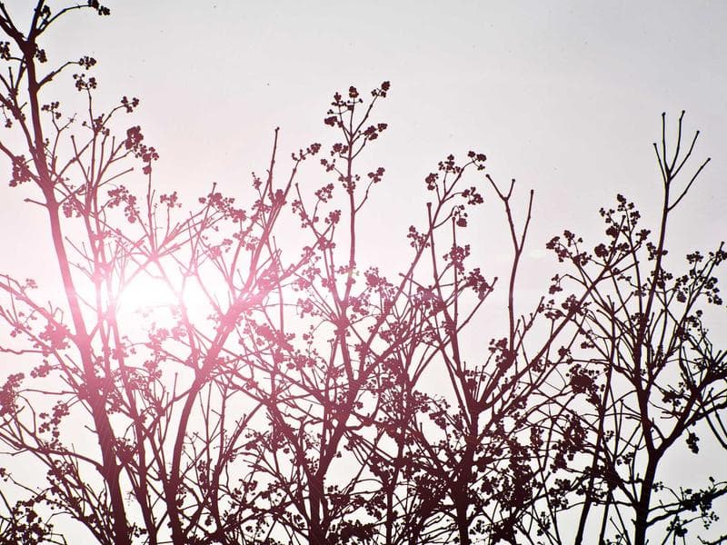 수련회 활동 사진 4